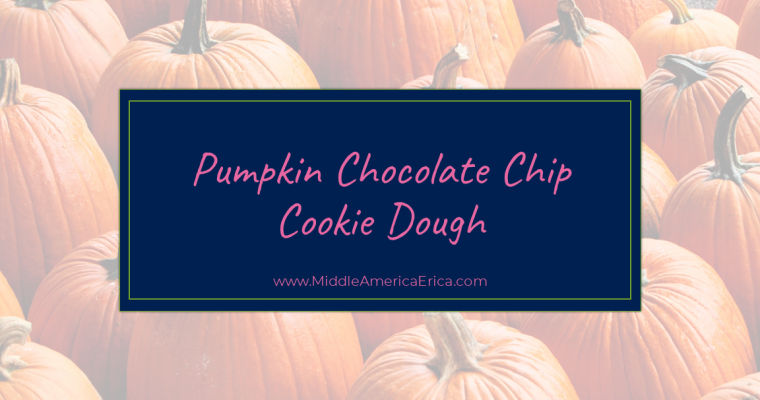 Pumpkin Chocolate Chip Cookie Dough Dip